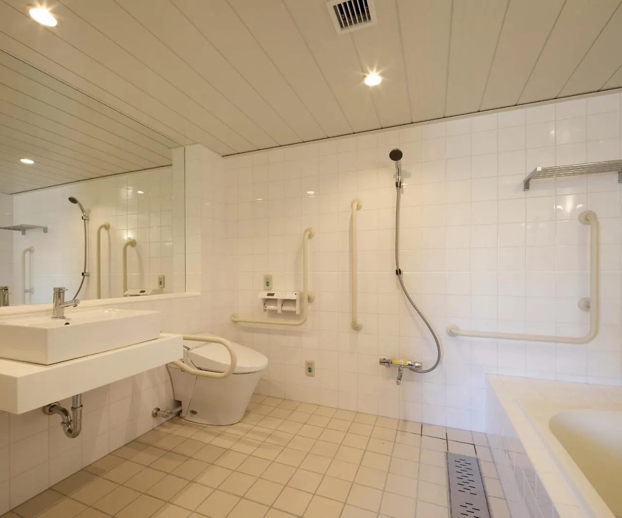 Hotel Sotetsu Fresa Inn Yokohama Sakuragi-Cho